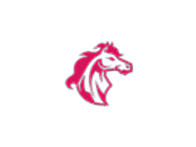 Crypto Stallions Pro
