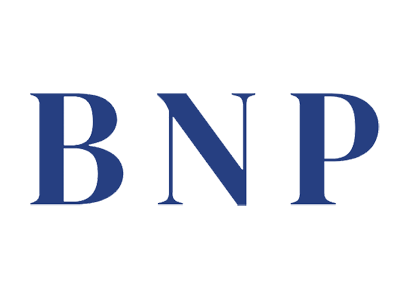 BNP Groups