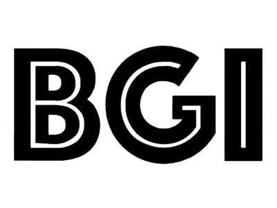 Brick Gold Investment Ltd (BGI)