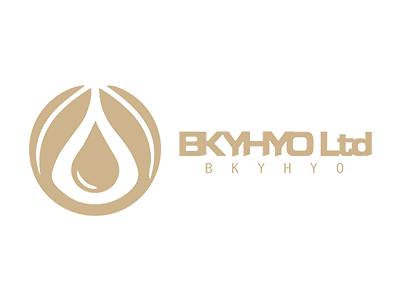 BKYHYO LTD