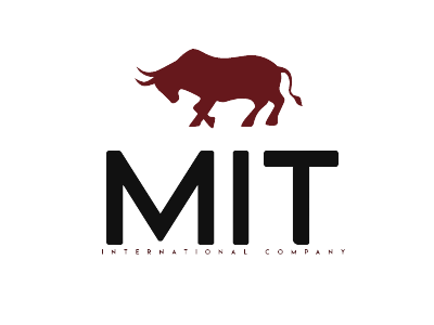 MIT (Market Intelligence Team)