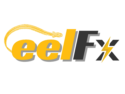 EEL Financial Services Ltd