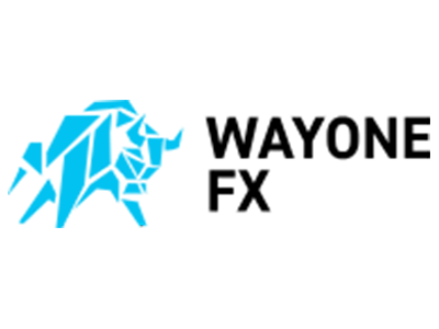 WAYONE CAPITAL LTD