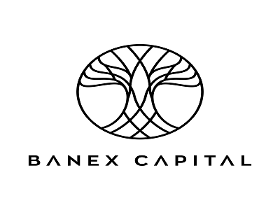 BANEX CAPITAL LTD