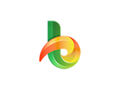 Bright House Capital Market